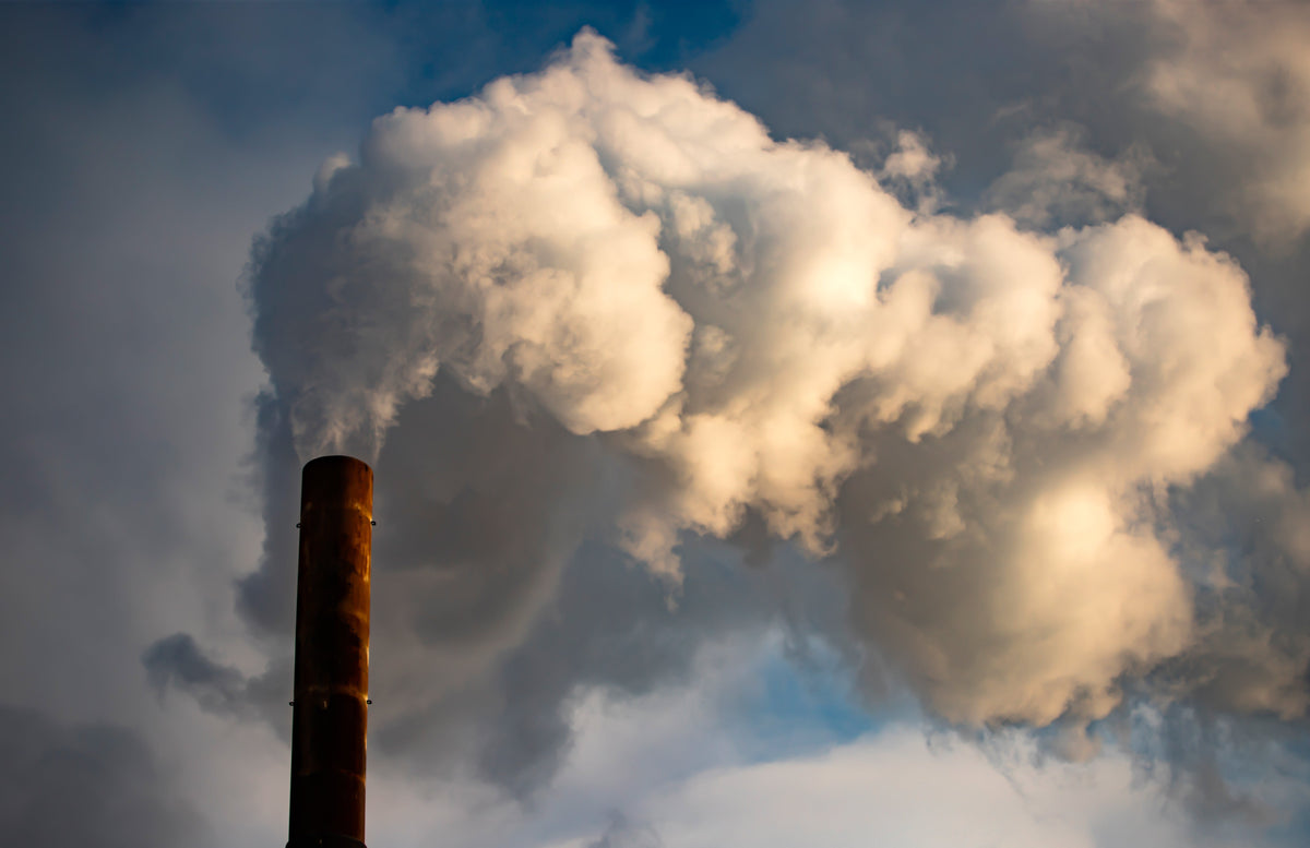 Why Modern Life Is Harder on Our Lungs Than We Think