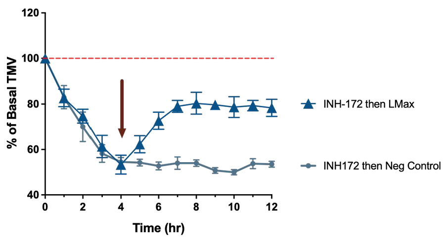 Mount Sinai in-vivo study. Single-dose administration of L Max vs. negative control. % of Basal TMV measured over 12 hours.